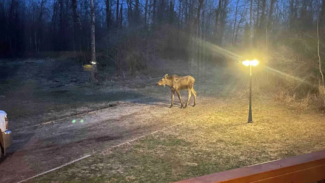 Photo of Others in Sherwood Park