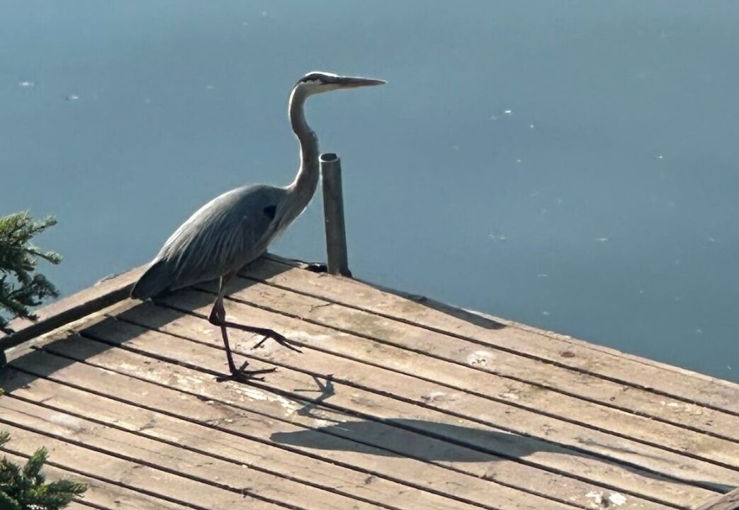 Photo of Outdoor in Vermilion Bay