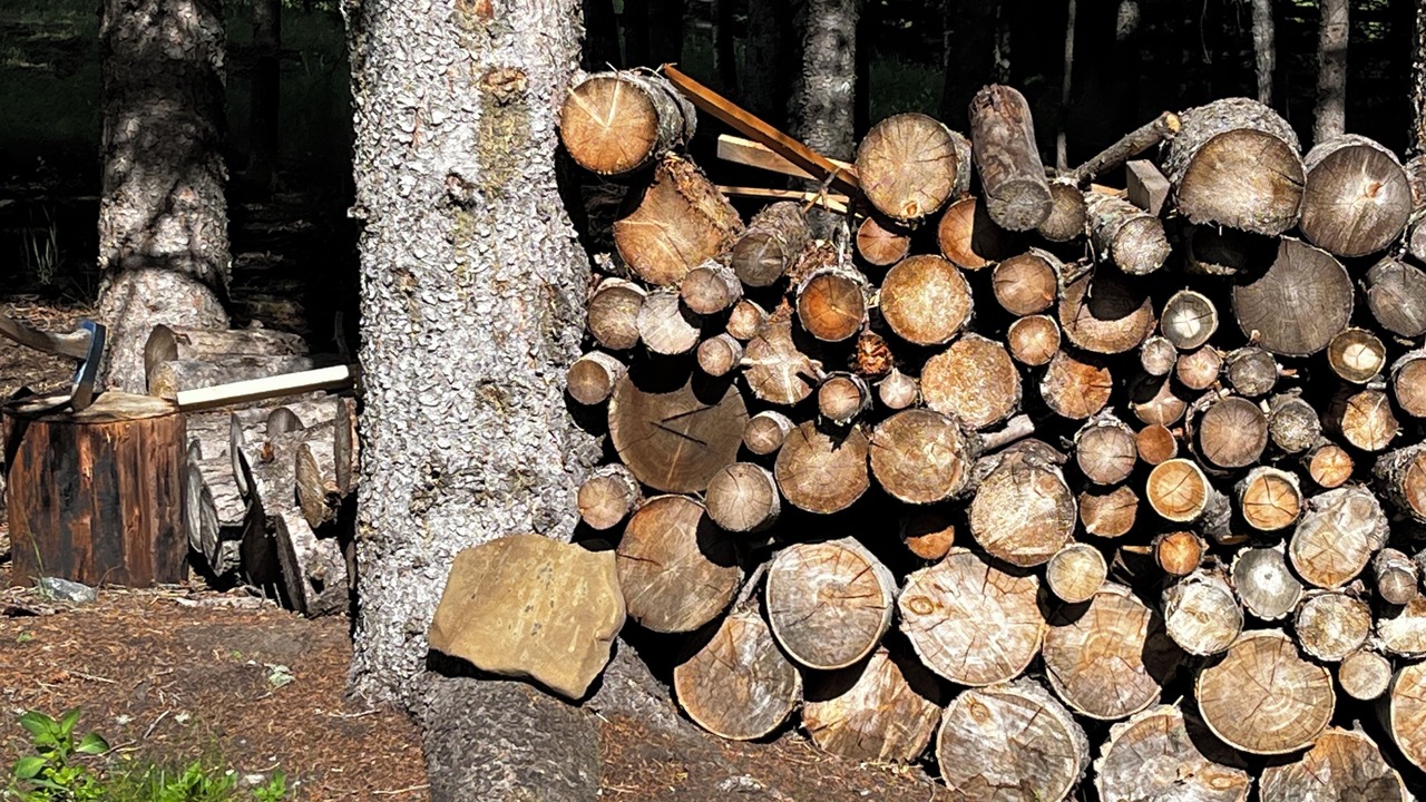 Photo of Others in Bragg Creek