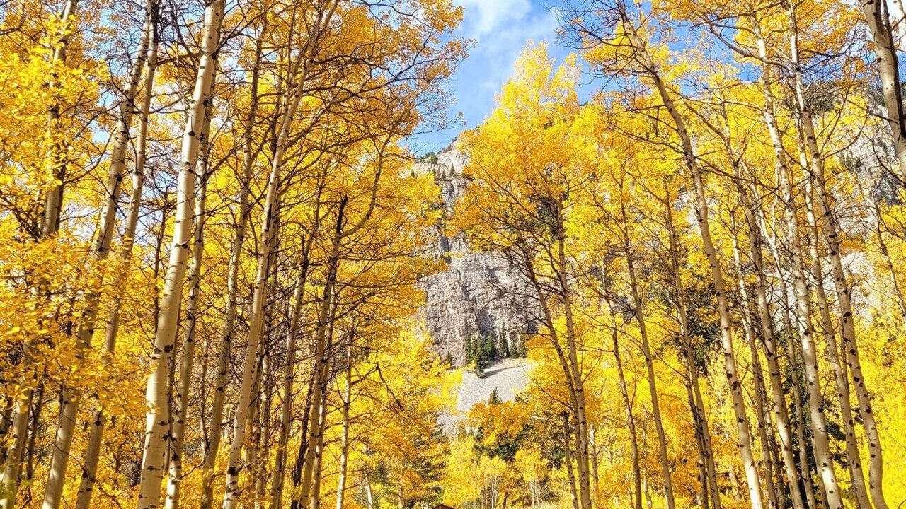 Photo of Outdoor in Crowsnest Pass