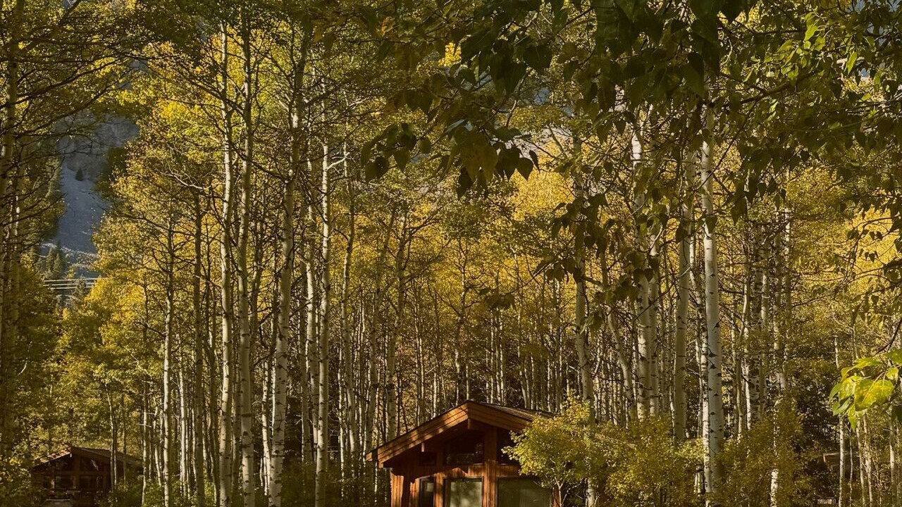 Photo of Outdoor in Crowsnest Pass