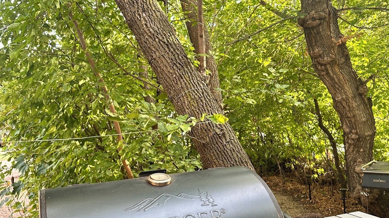 Photo of Outdoor in Grayson