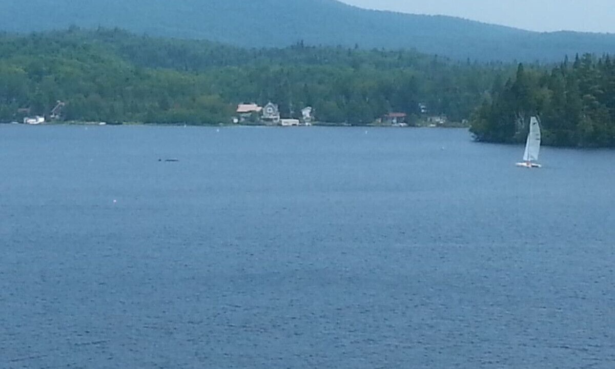 Photo of Others in Lac-Superieur