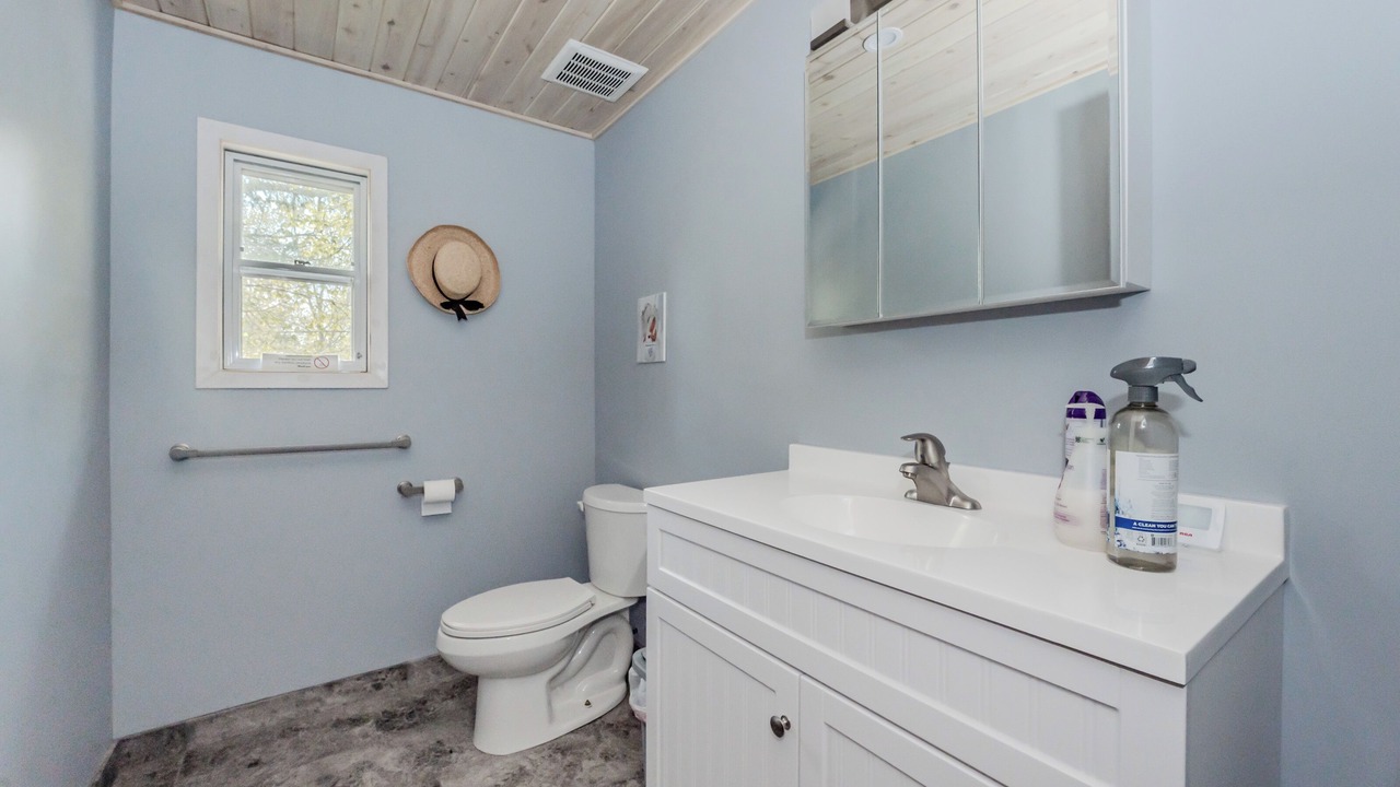 Photo of Bathroom in Lion's Head