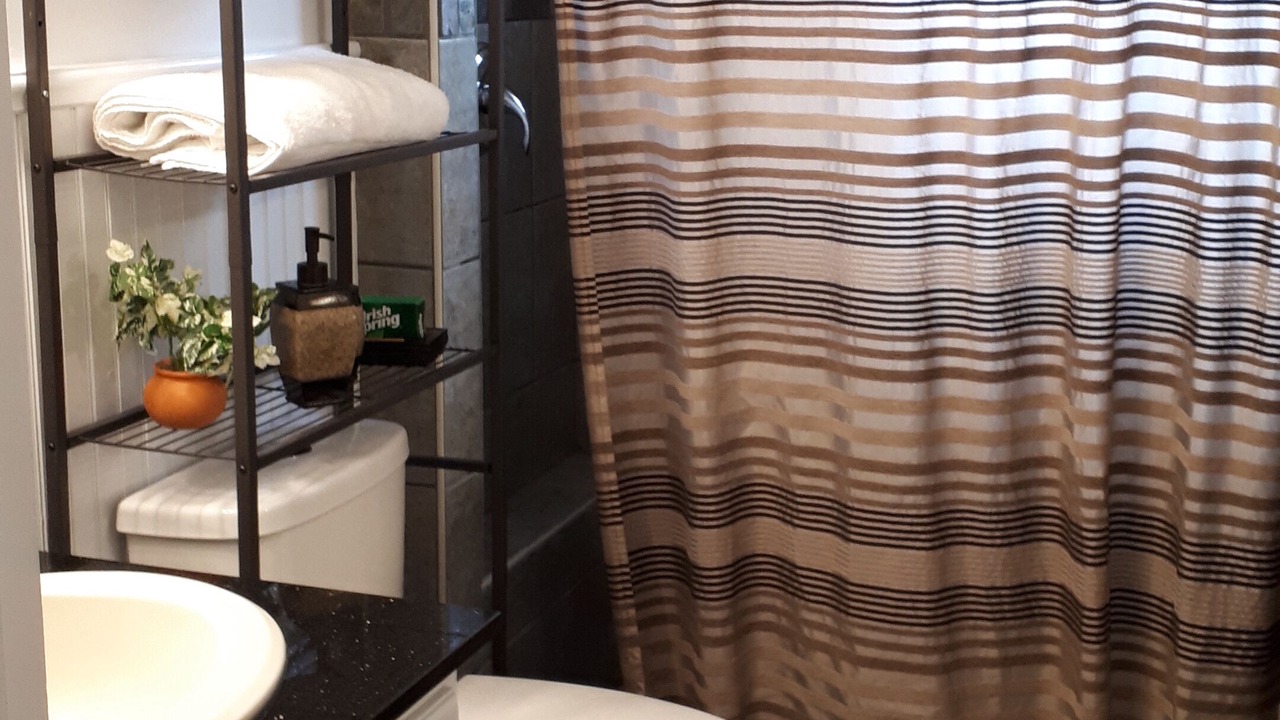 Photo of Bathroom in Ottawa Division