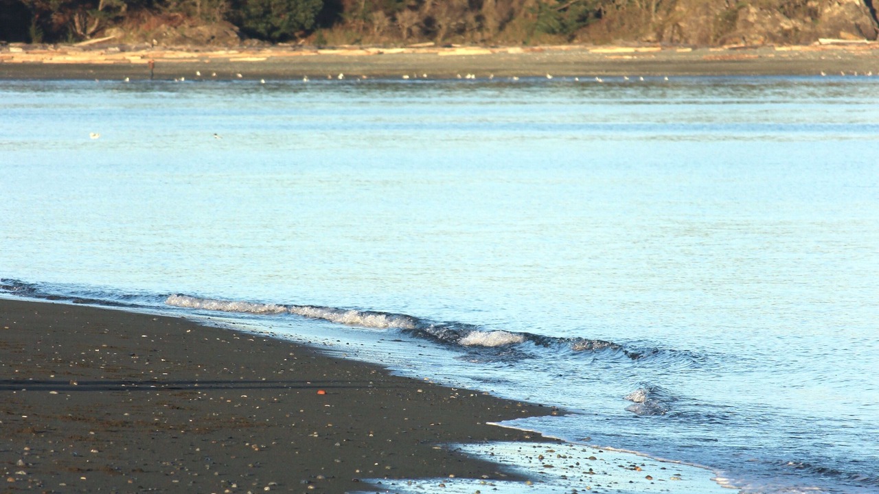 Photo of Others in Colwood