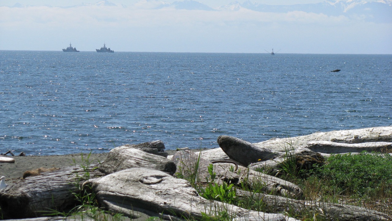 Photo of Others in Colwood