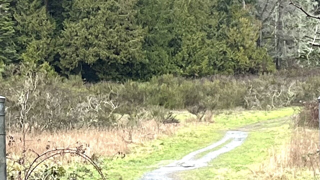 Photo of Others in Colwood