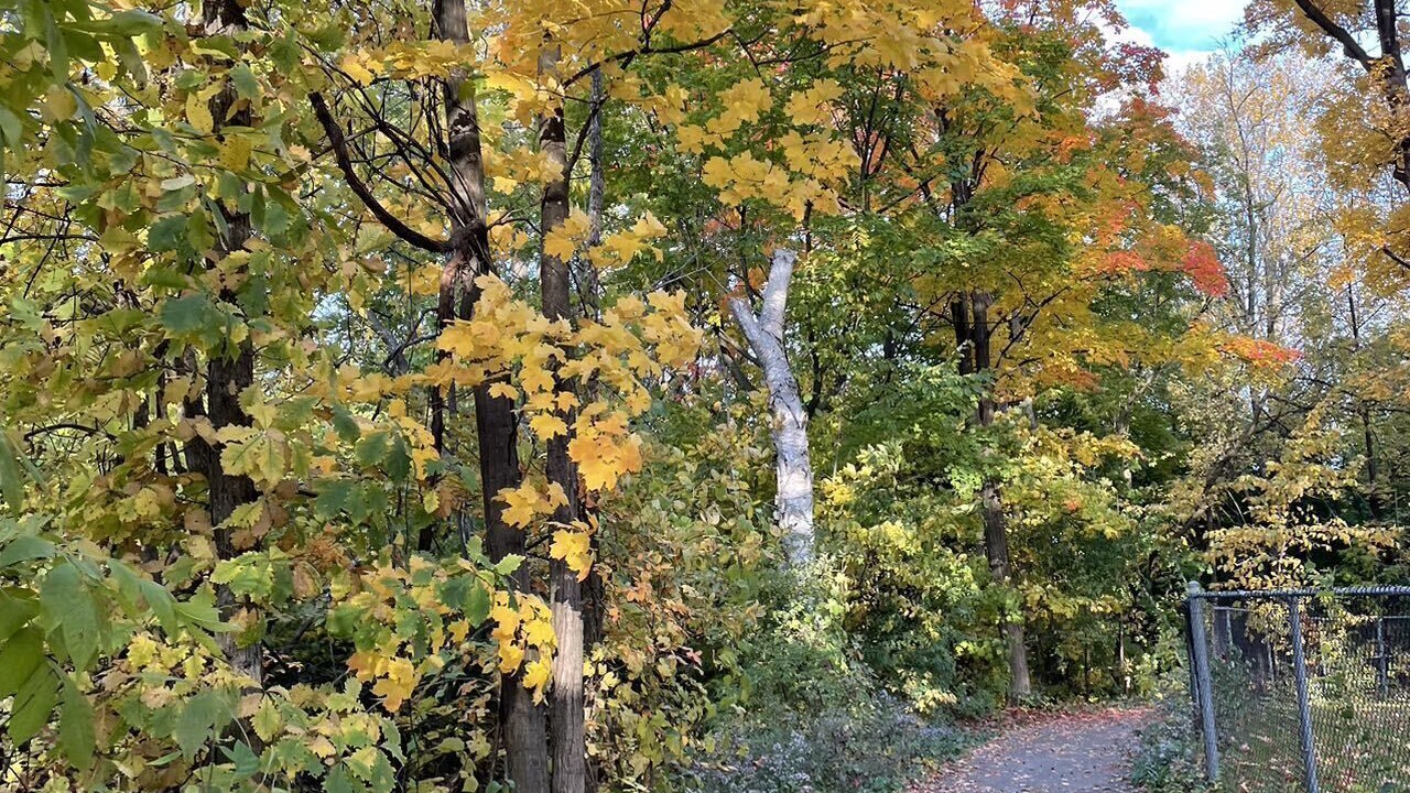 Photo of Outdoor in Laval