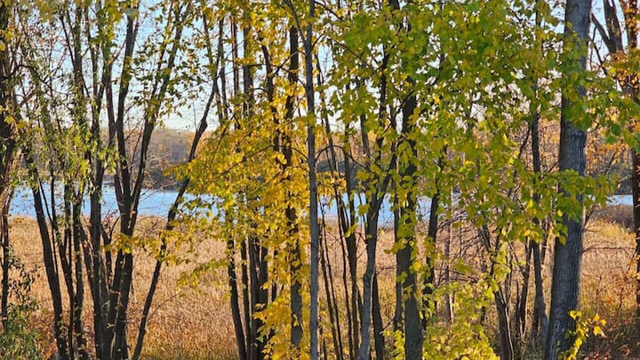 Photo of Others in Gatineau