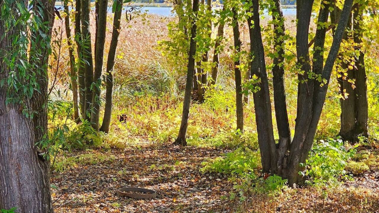 Photo of Others in Gatineau