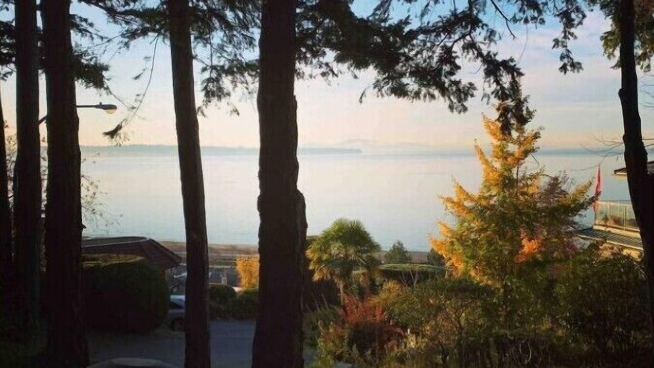 Photo of Others in White Rock