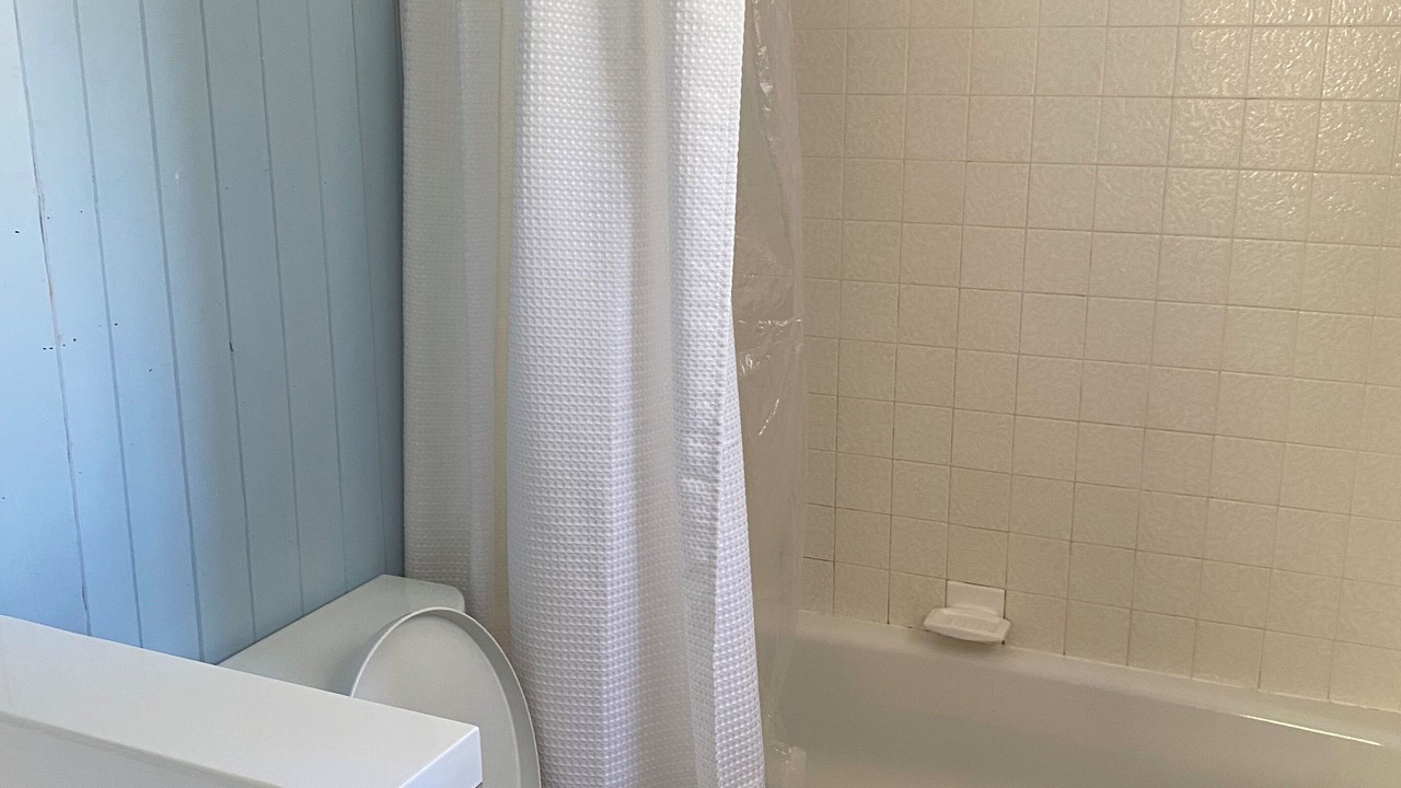Photo of Bathroom in Bongard