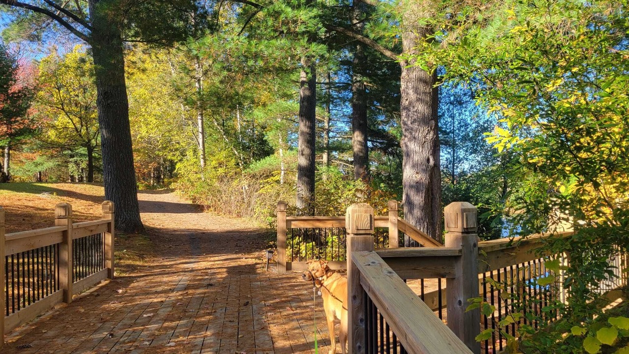 Photo of Outdoor in Baysville