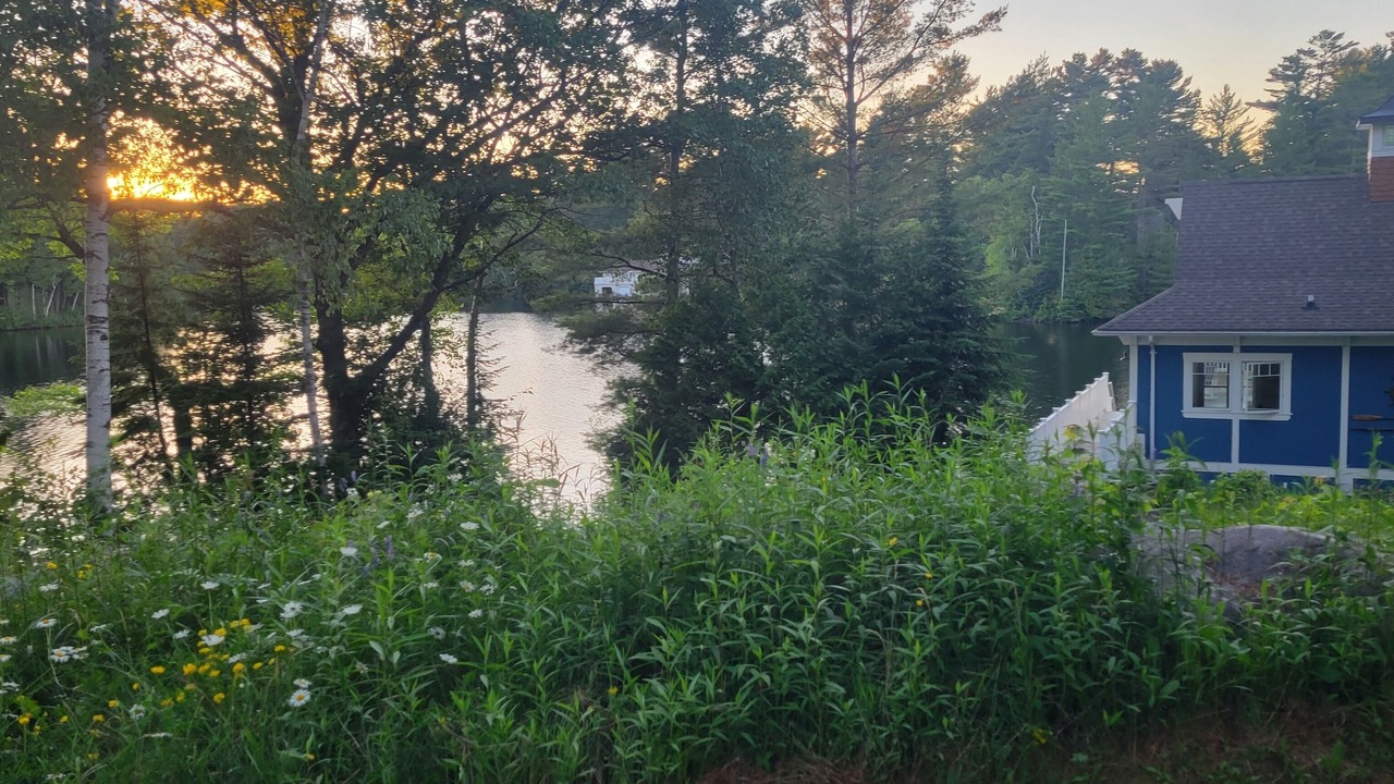 Photo of Outdoor in Baysville