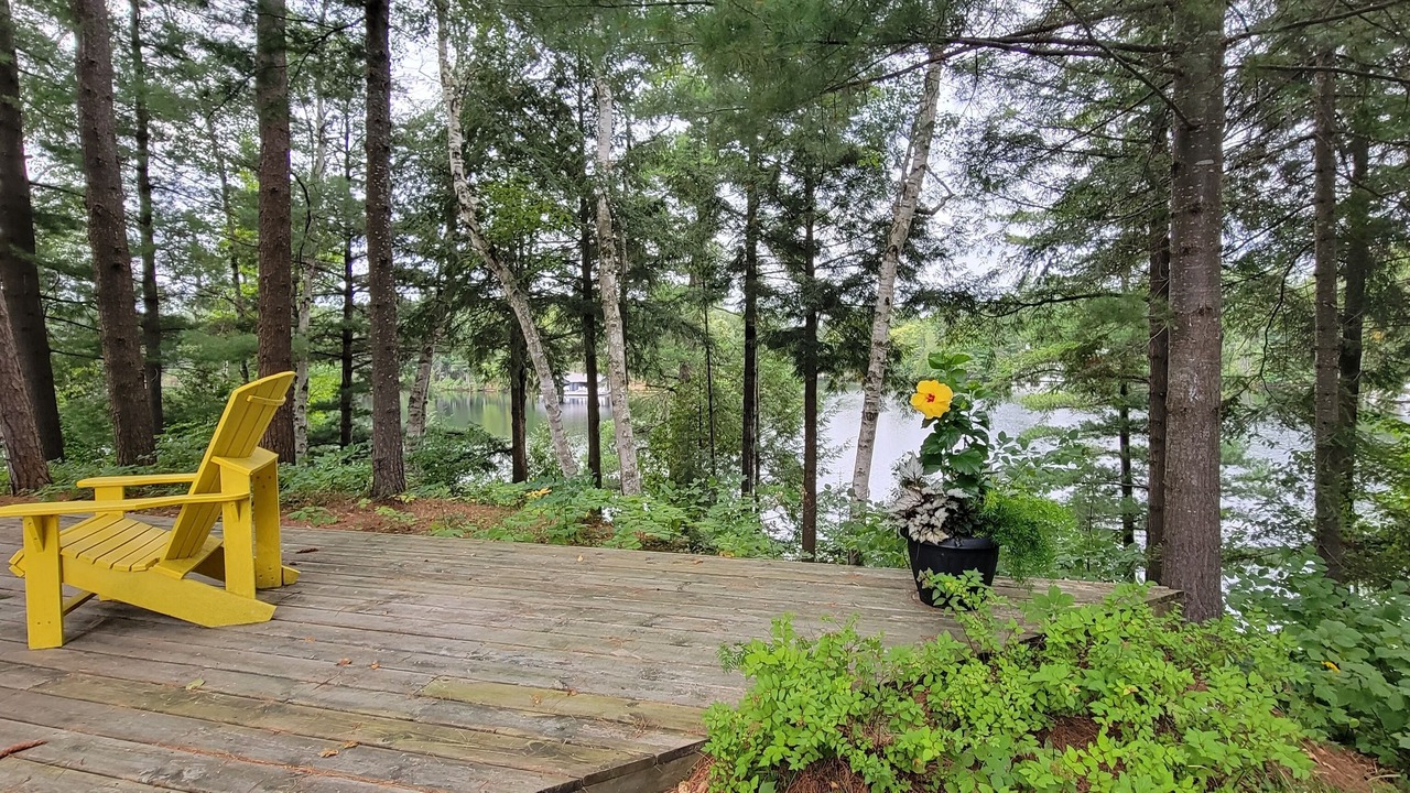 Photo of Others in Baysville
