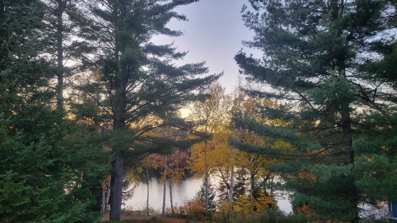 Photo of Outdoor in Baysville
