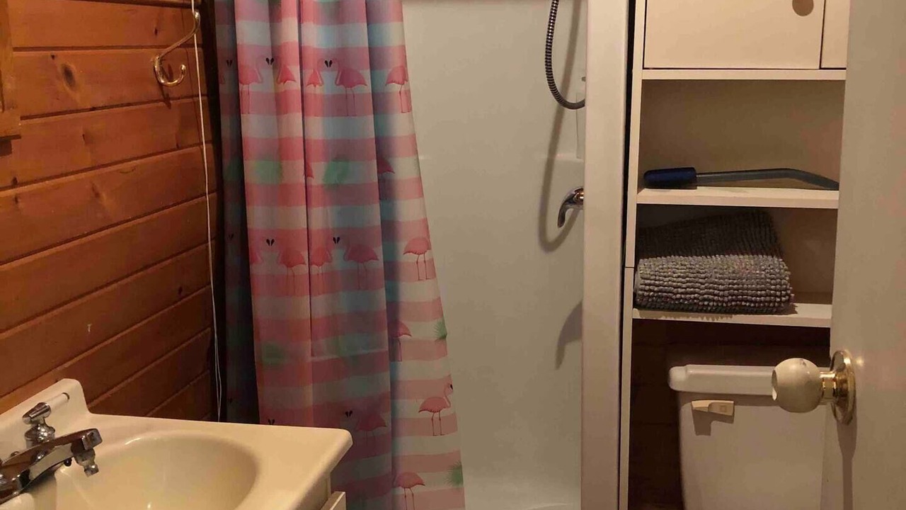 Photo of Bathroom in Saint-Faustin-Lac-Carre