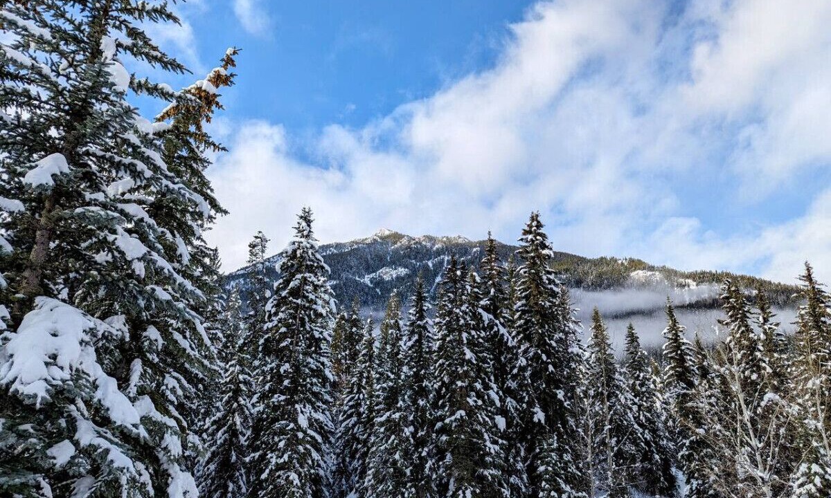 Photo of Others in East Kootenay