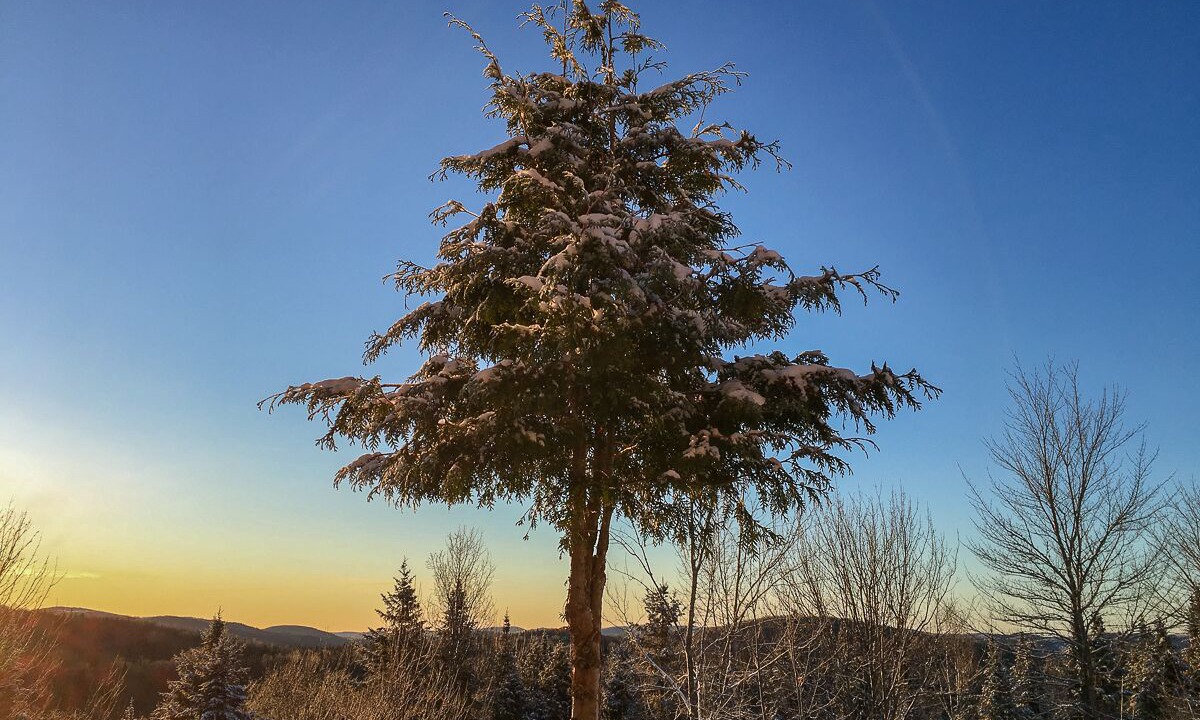 Photo of Outdoor in Saint Donat