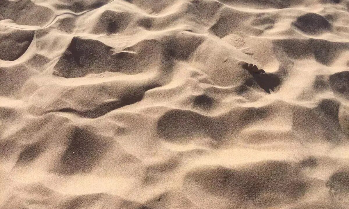 Photo of Others in Stanhope