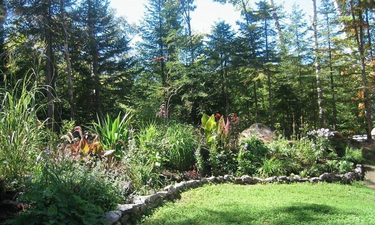 Photo of Others in Val David