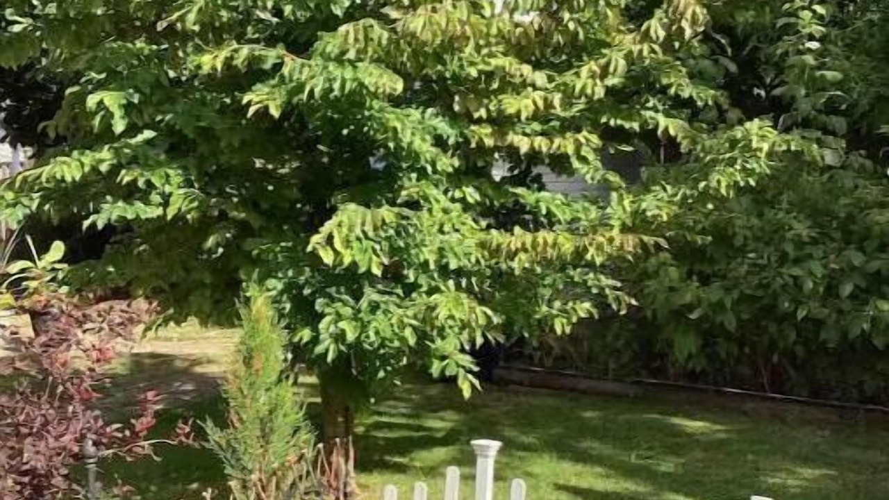 Photo of Others in Comox