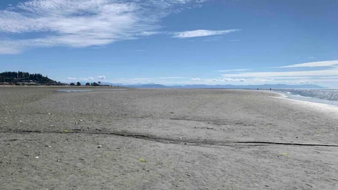 Photo of Others in Comox