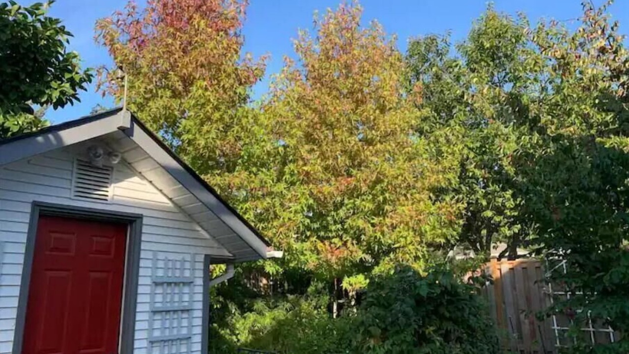 Photo of Outdoor in Comox