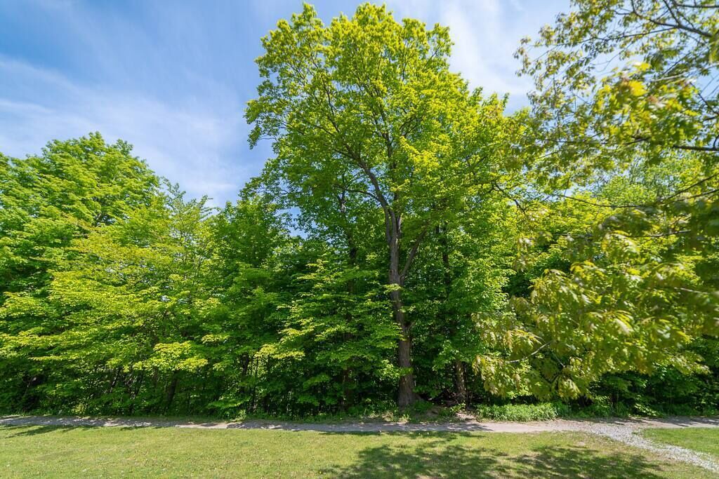 Photo of Outdoor in Oro-Medonte