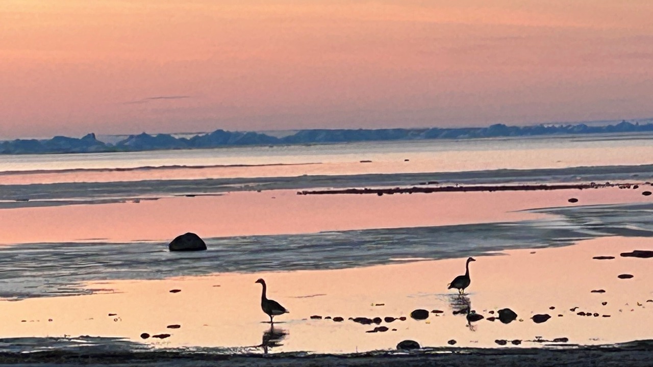 Photo of Outdoor in Saint Ambroise