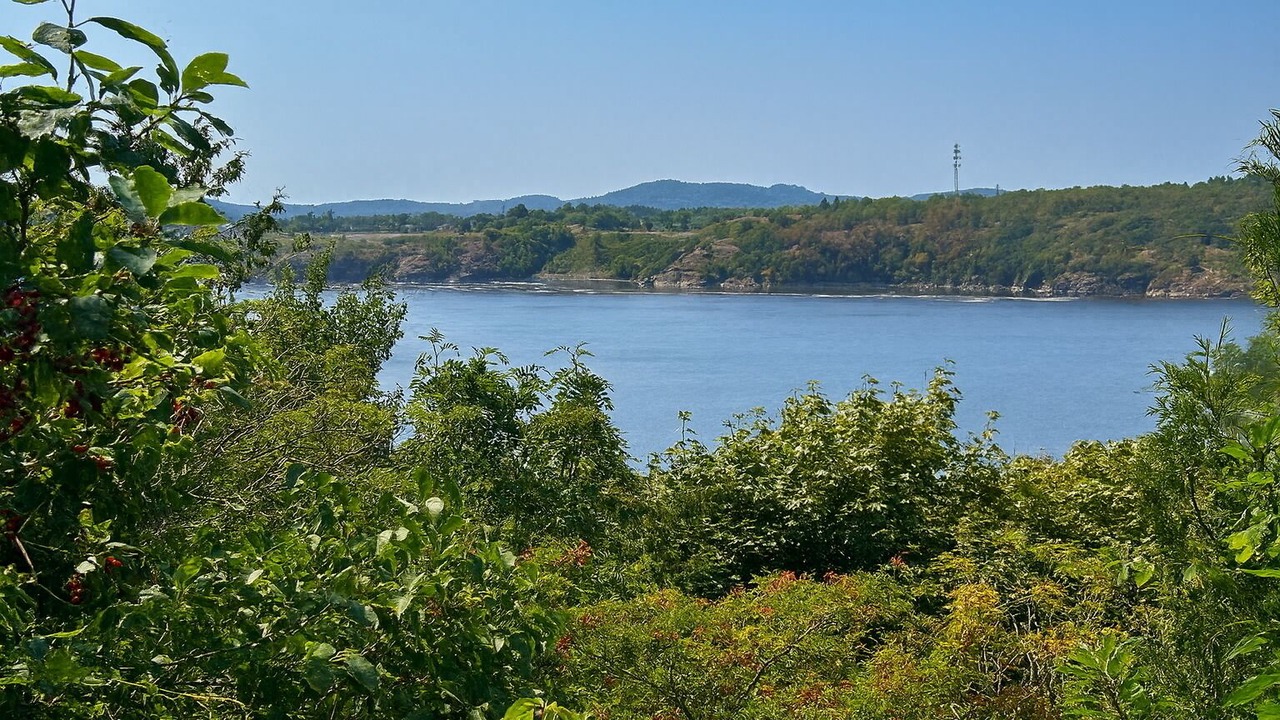 Photo of Others in Saint John