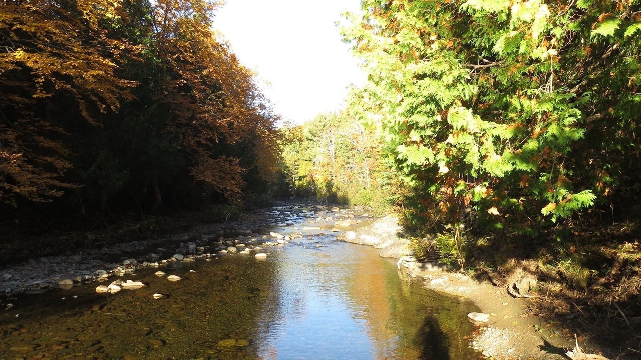 Photo of Outdoor in Gloucester County