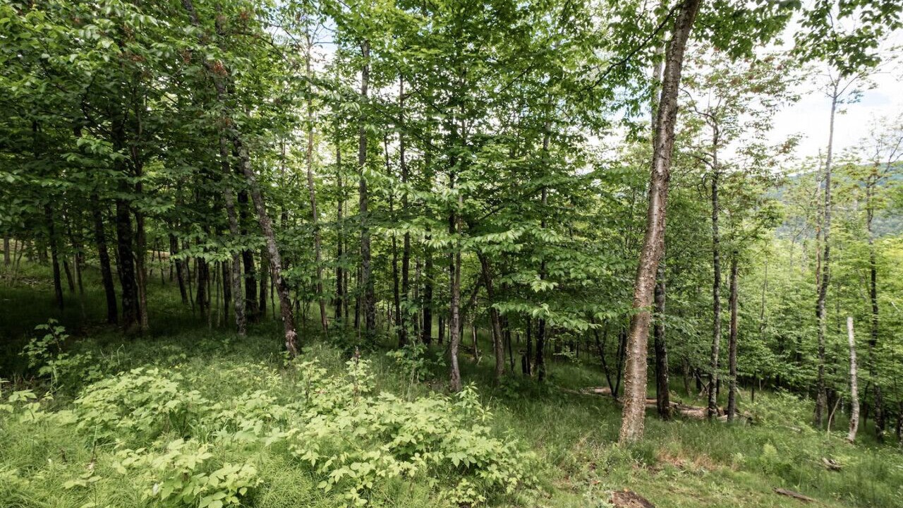 Photo of Outdoor in Mont-Tremblant