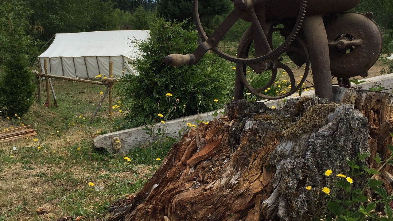 Photo of Outdoor in Shawnigan Lake