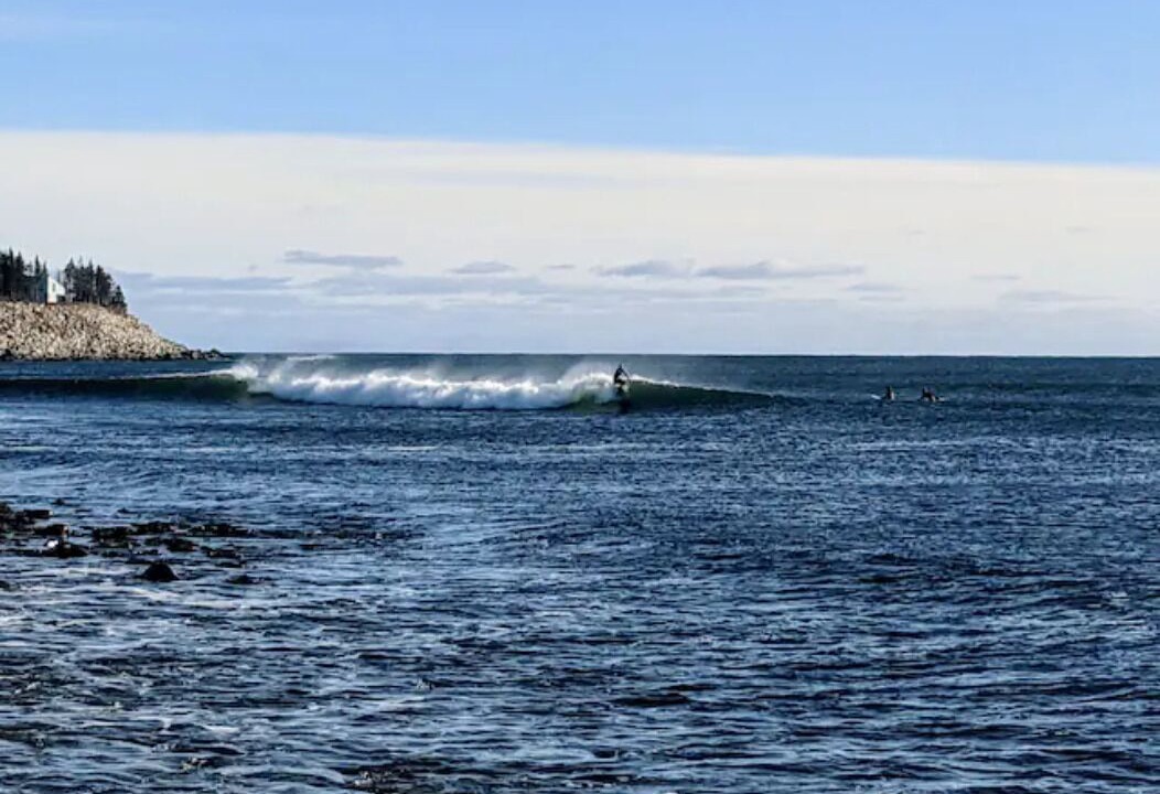 Photo of Others in Western Head