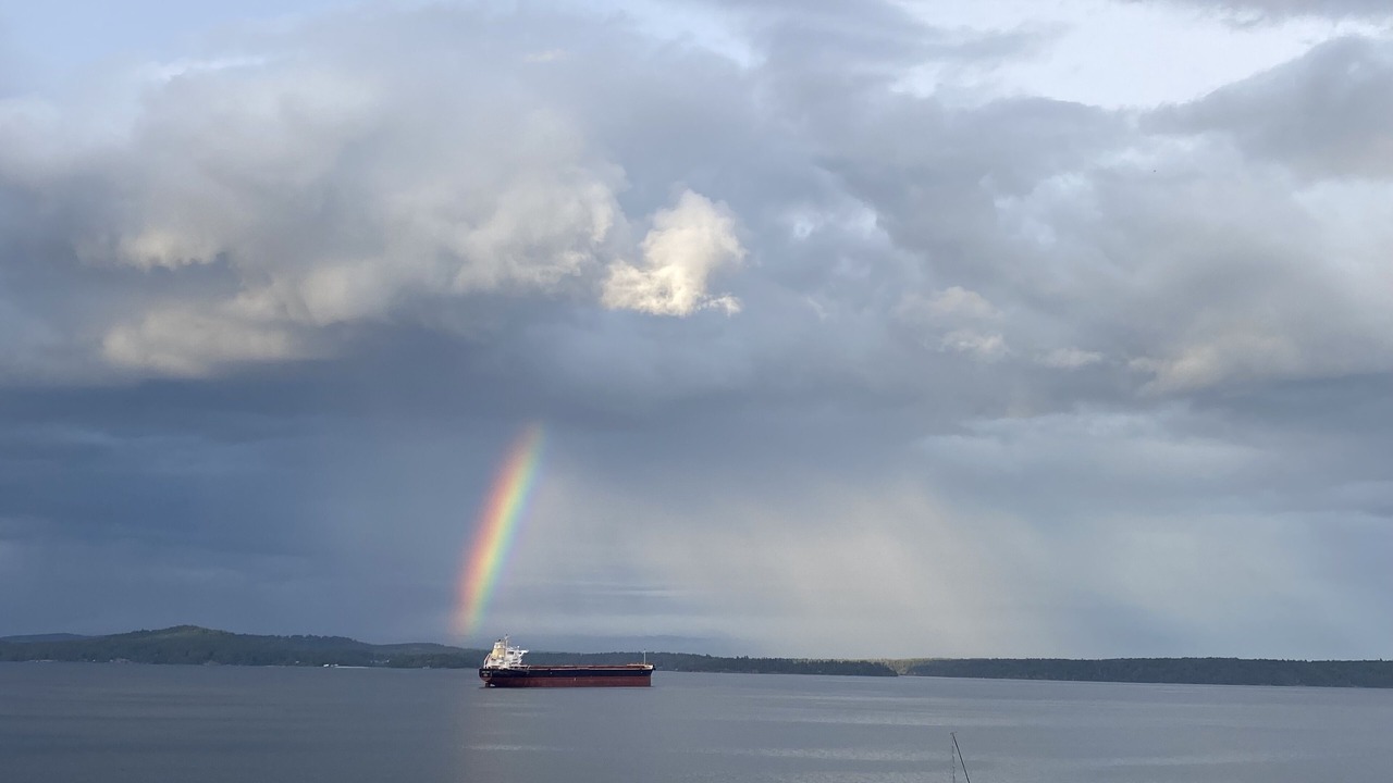 Photo of Others in Chemainus