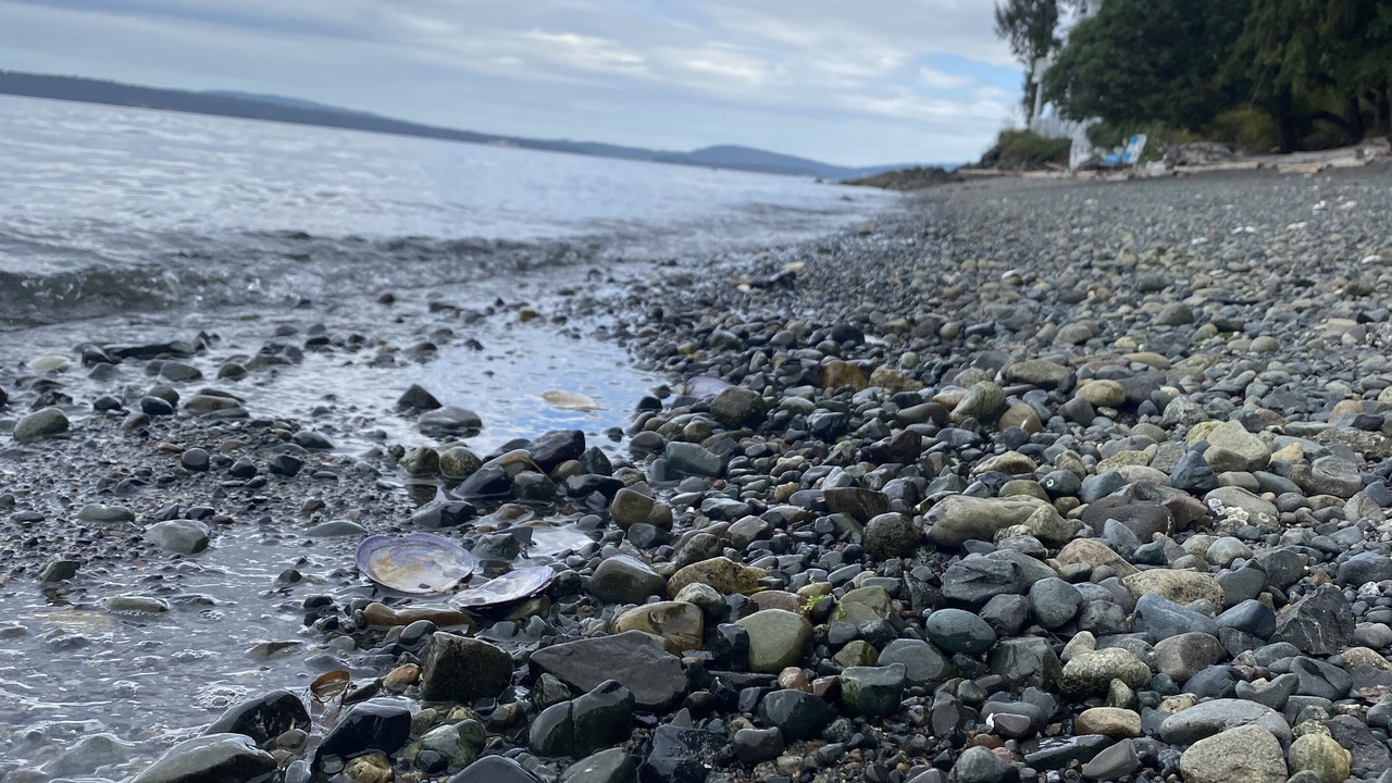 Photo of Others in Chemainus