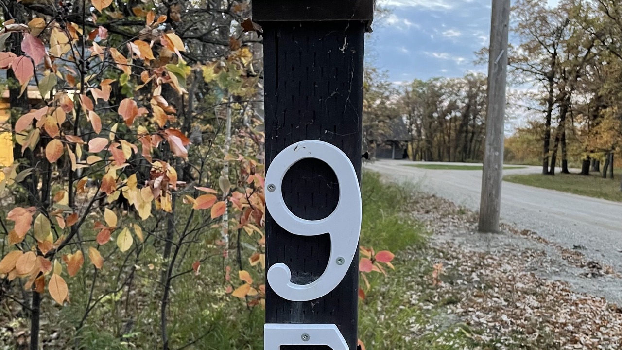 Photo of Outdoor in Belmont