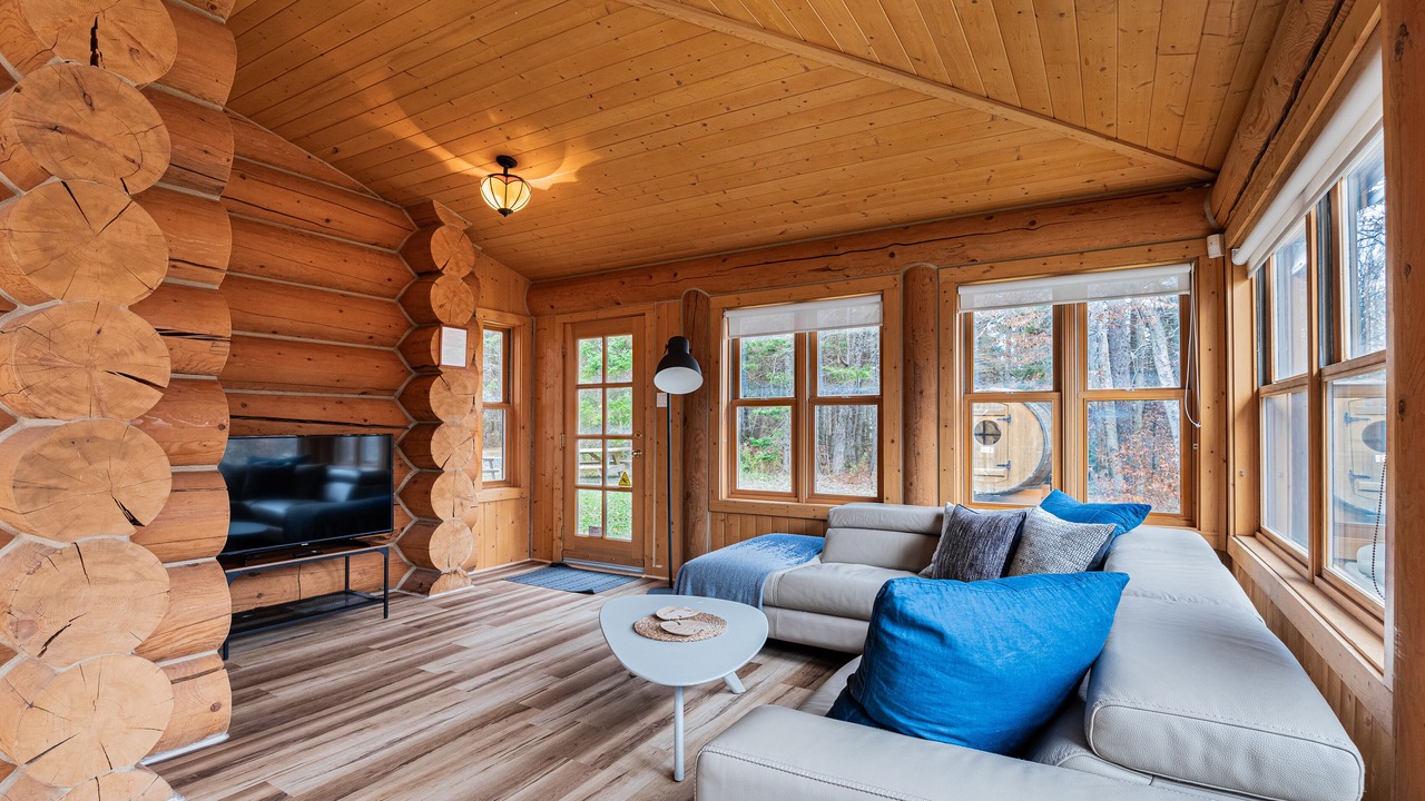 Photo of Livingroom in Mille-Isles