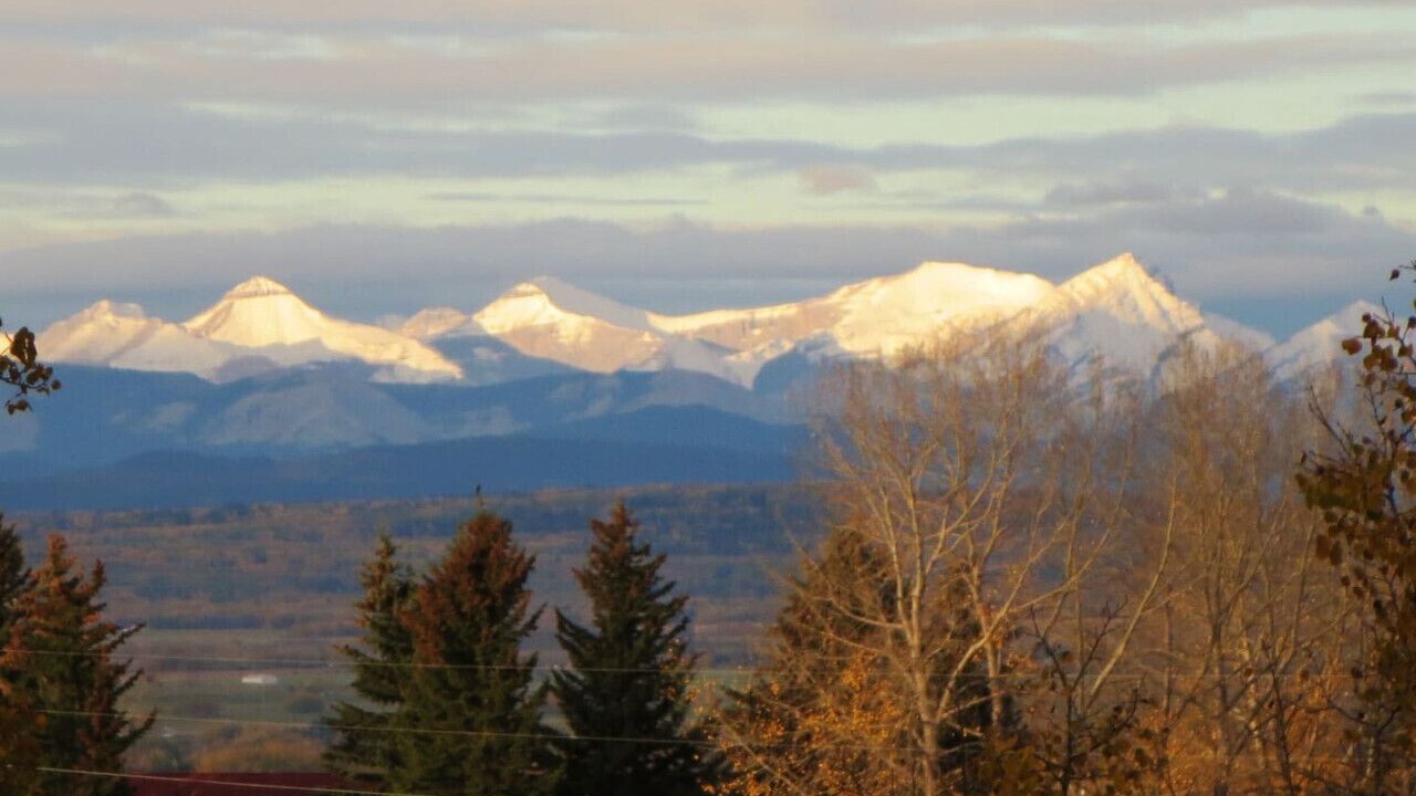 Photo of Others in Springbank