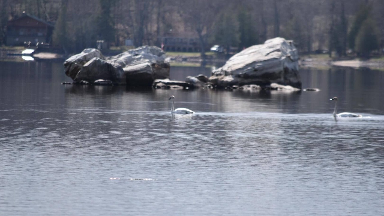 Photo of Others in Lanark Highlands