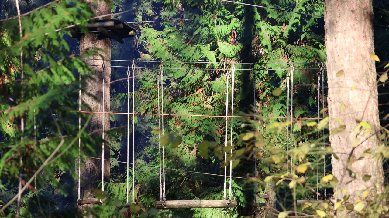 Photo of Outdoor in Maple Ridge