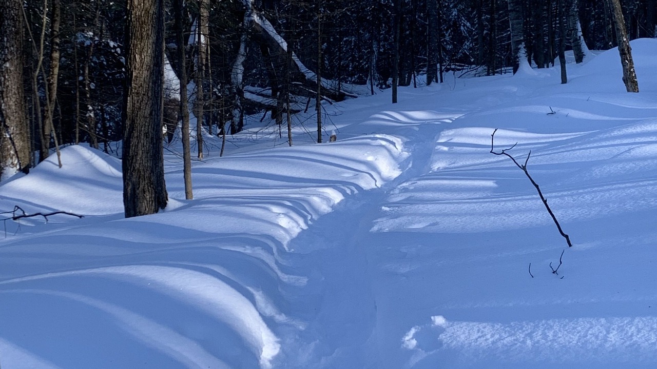Photo of Others in Saint-Sauveur