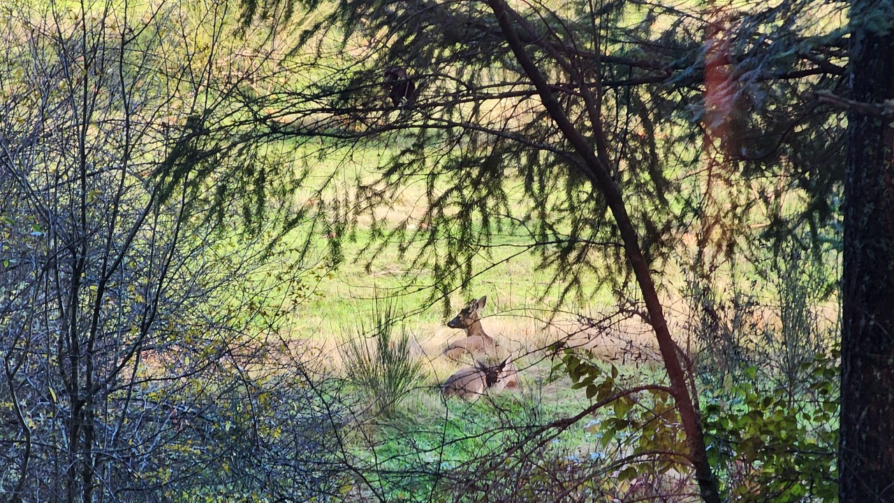 Photo of Others in North Cowichan