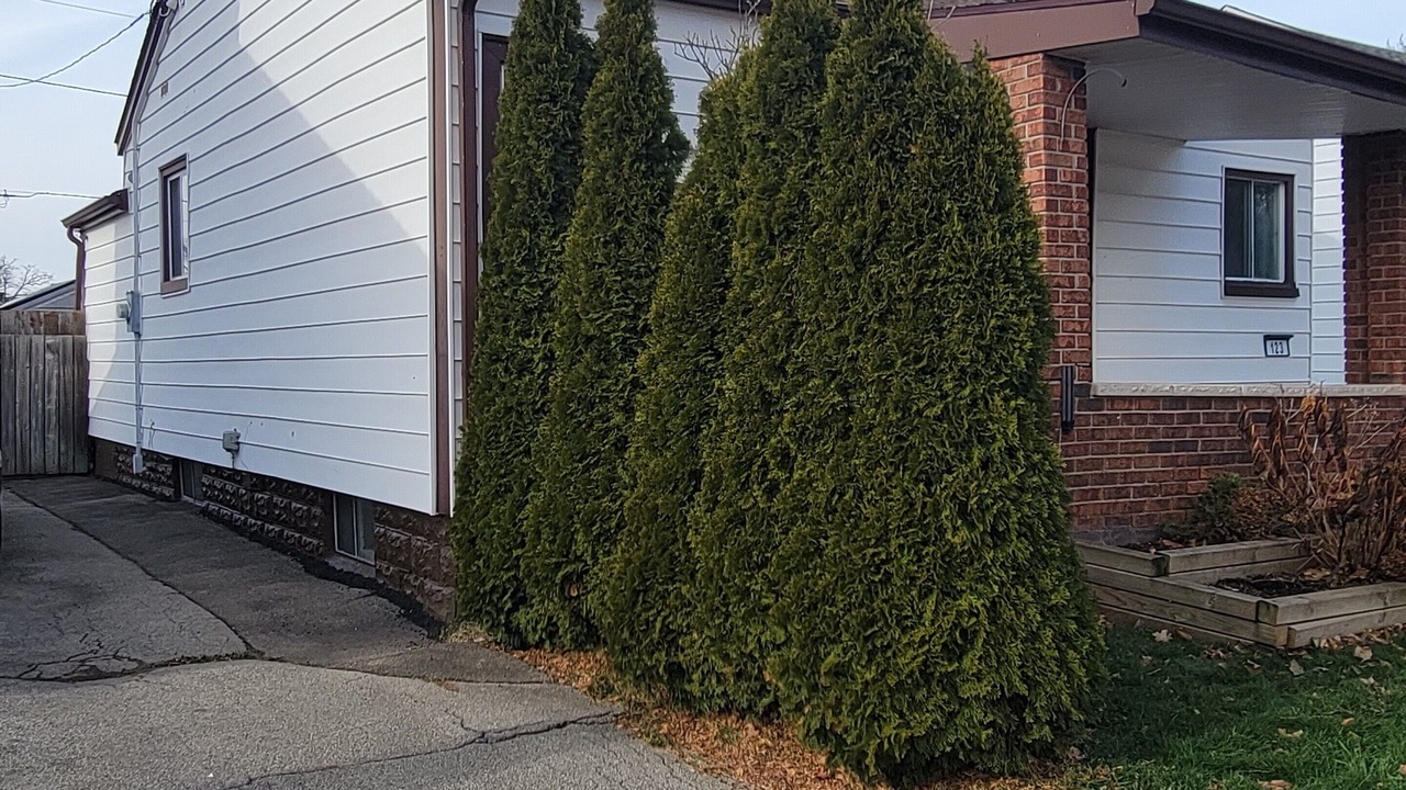 Photo of Outdoor in Welland