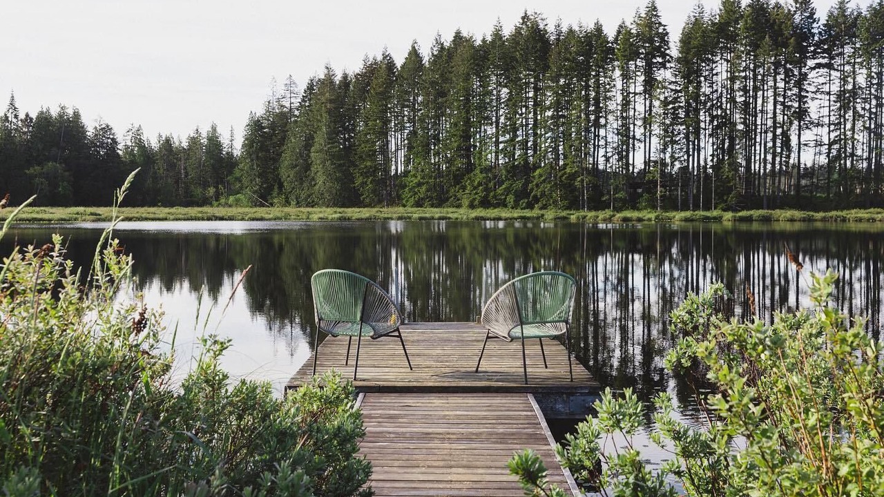 Photo of Outdoor in Black Creek