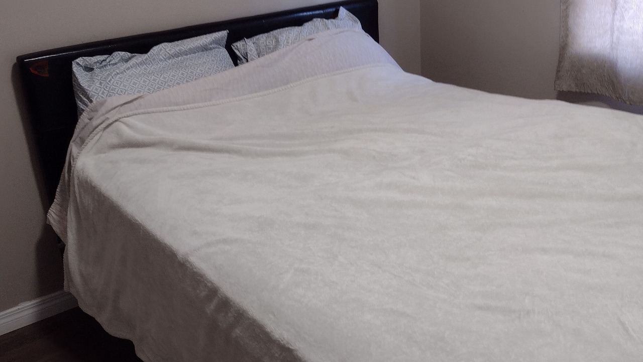 Photo of Bedroom in Saskatoon Downtown