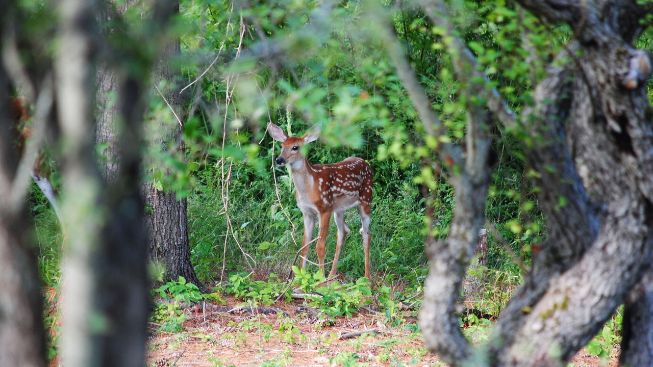 Photo of Others in Tay Valley