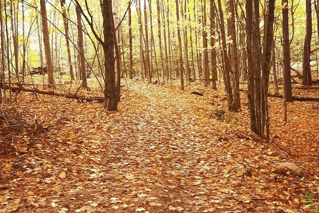 Photo of Outdoor in Tay Valley